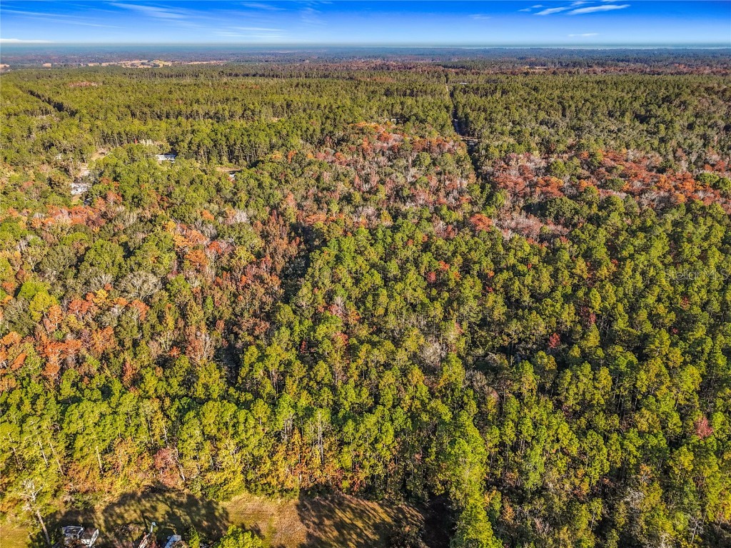 SW 6th Terrace Palatka FL 32177 O6362434 image17