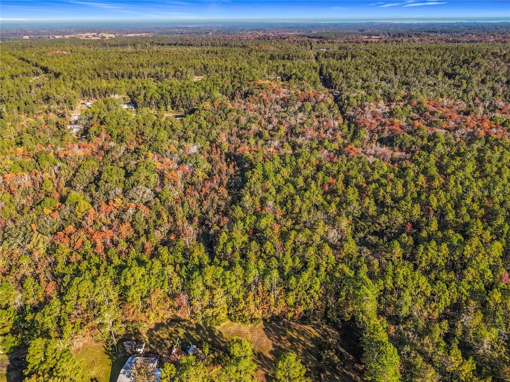 SW 6th Terrace Palatka FL 32177 O6362434 image18