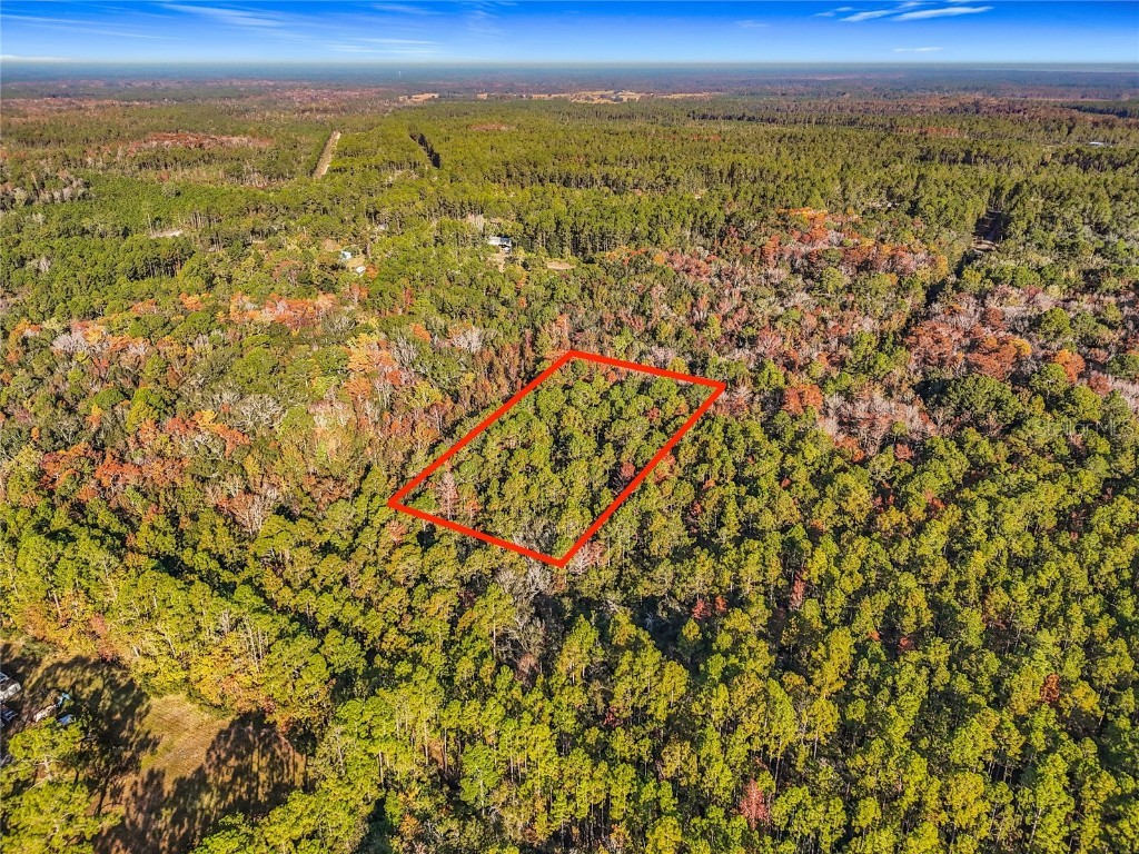 SW 6th Terrace Palatka FL 32177 O6362434 image2