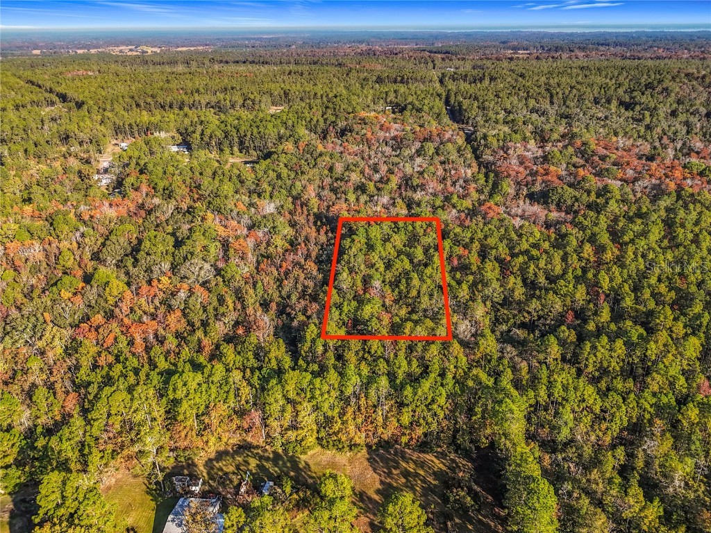 SW 6th Terrace Palatka FL 32177 O6362434 image3