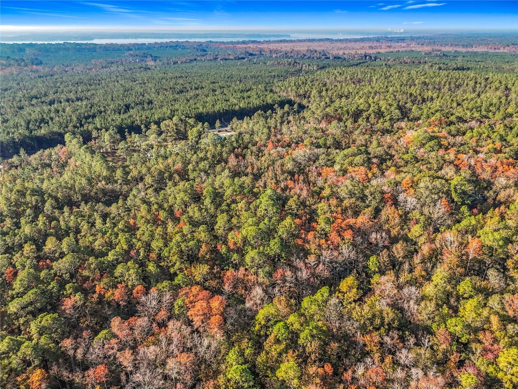 SW 6th Terrace Palatka FL 32177 O6362434 image5