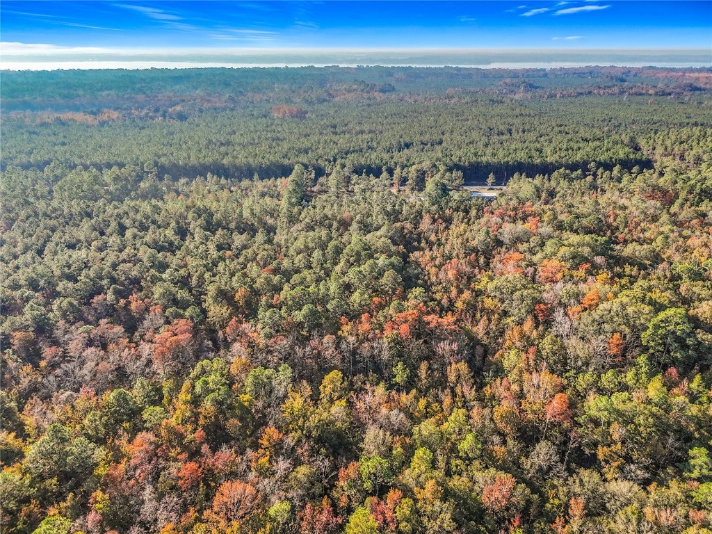 SW 6th Terrace Palatka FL 32177 O6362434 image6