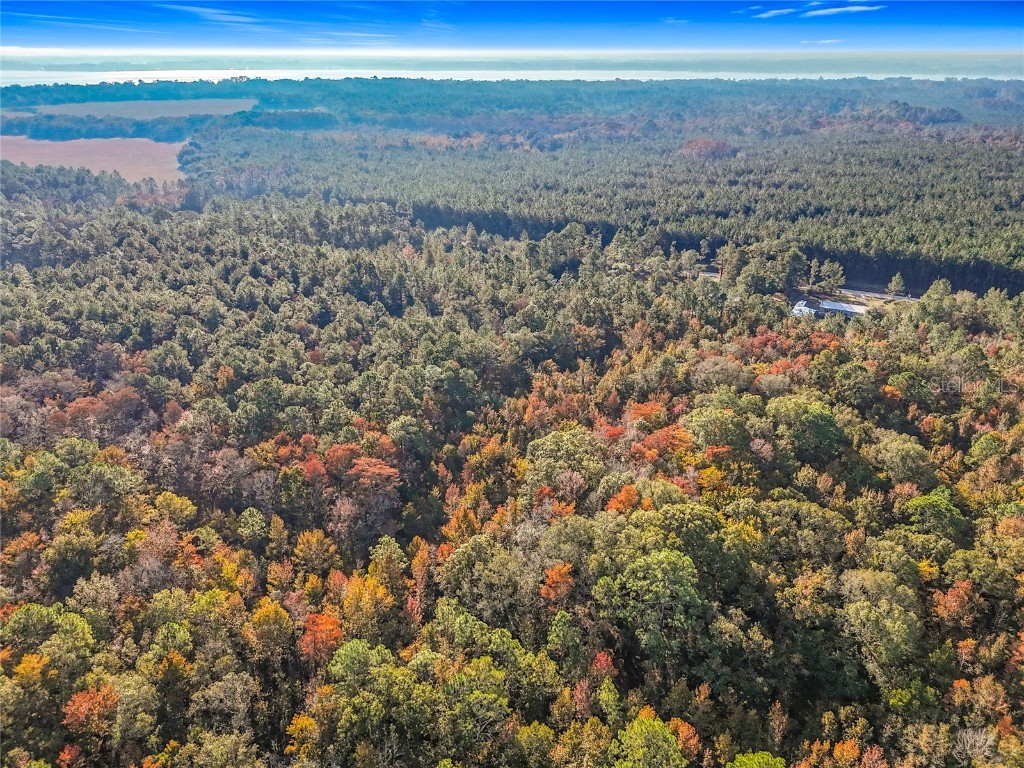 SW 6th Terrace Palatka FL 32177 O6362434 image7