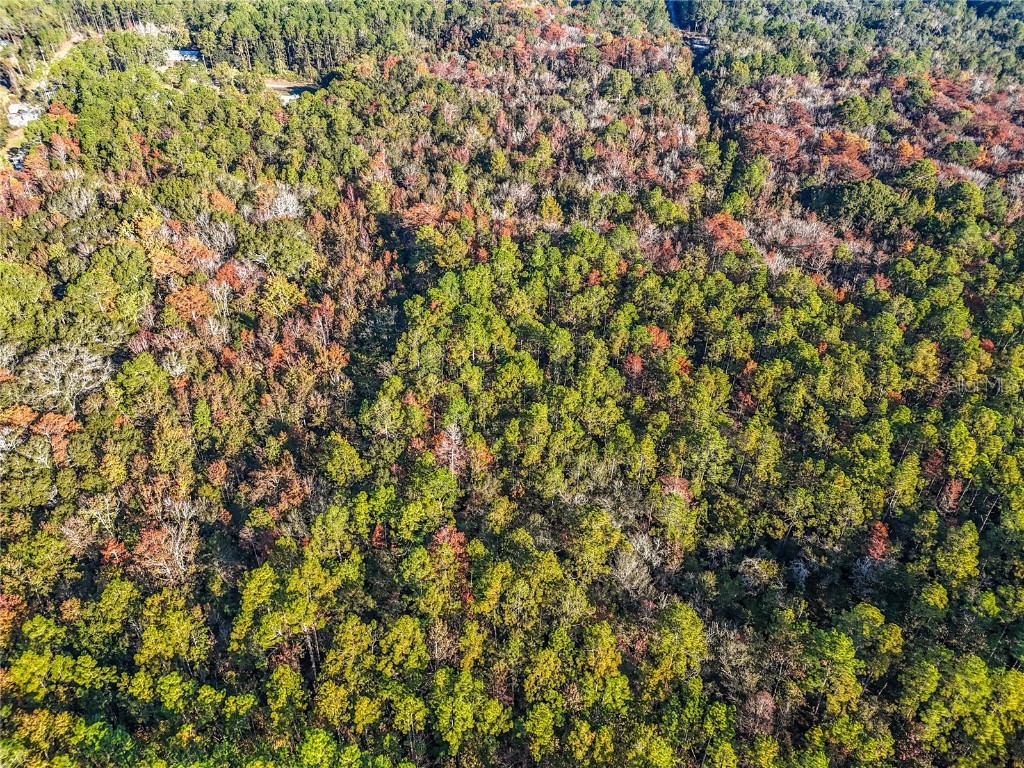 SW 6th Terrace Palatka FL 32177 O6362434 image8