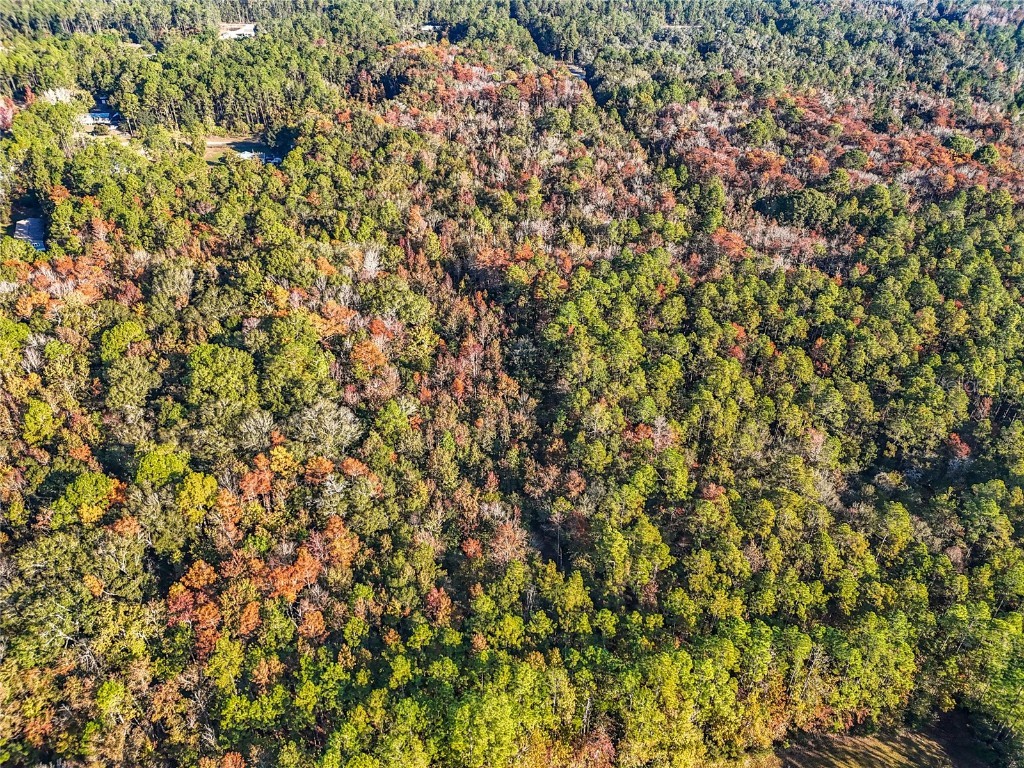 SW 6th Terrace Palatka FL 32177 O6362434 image9