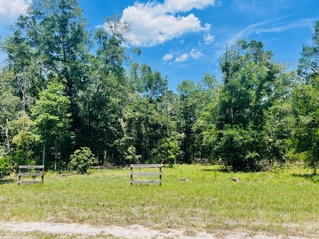 SW 70th Avenue Bell FL 32619 GC523970 image1
