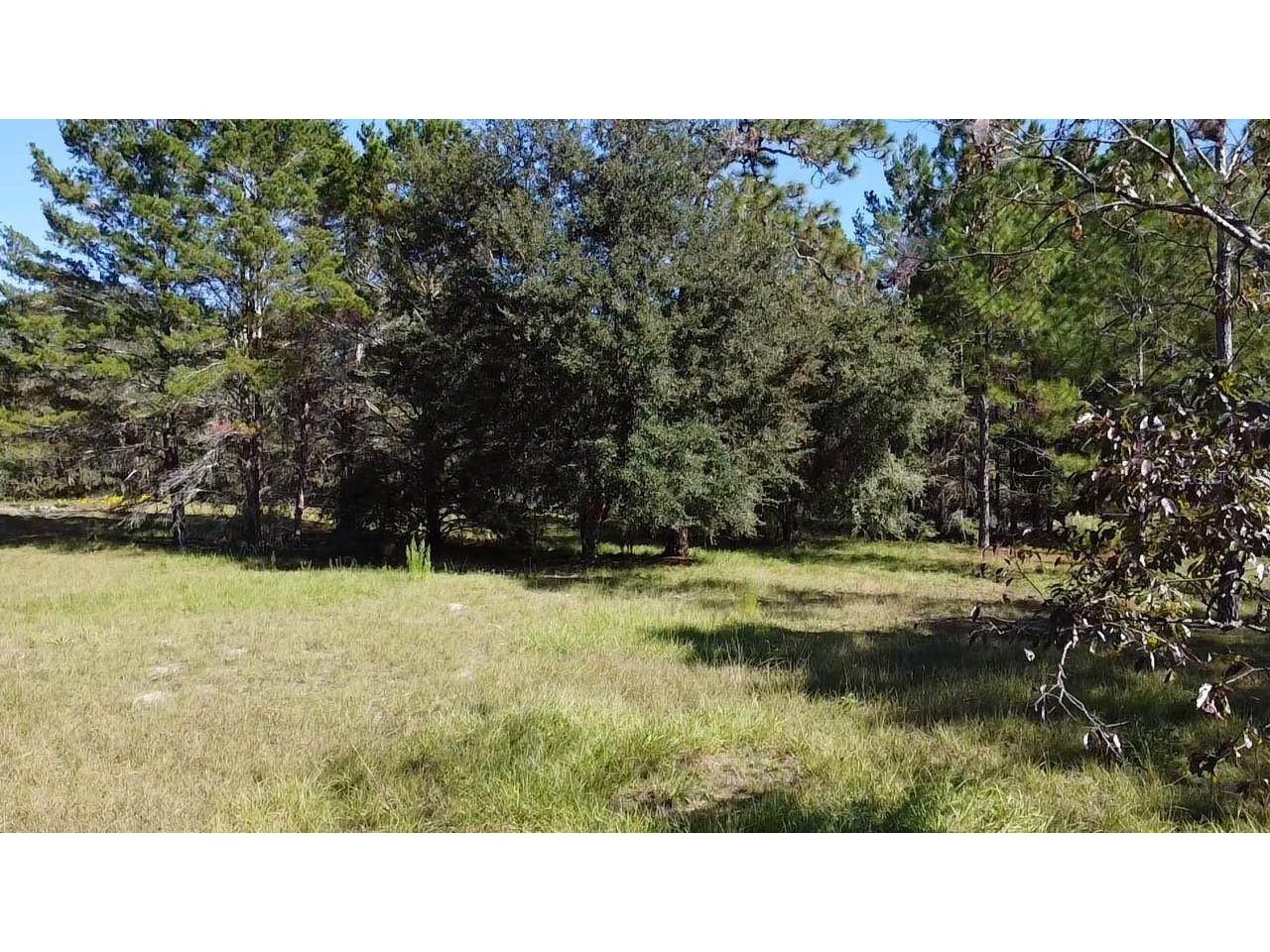 Sw 70th Ter Bushnell FL 33513 TB8475539 image10