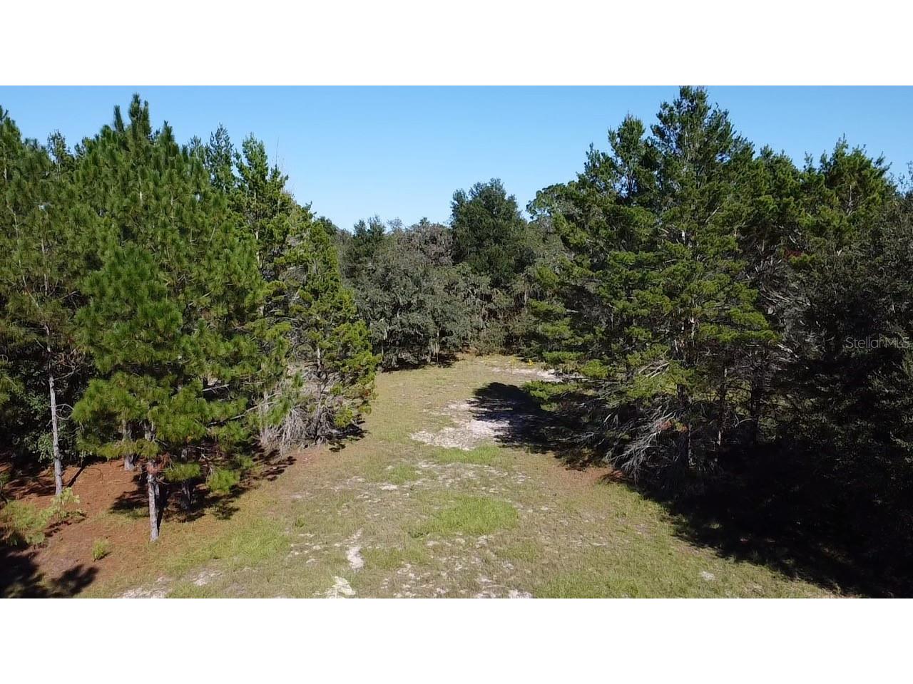 Sw 70th Ter Bushnell FL 33513 TB8475539 image11