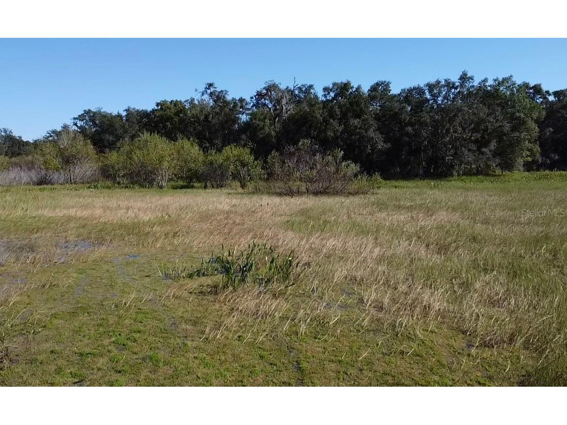 Sw 70th Ter Bushnell FL 33513 TB8475539 image12