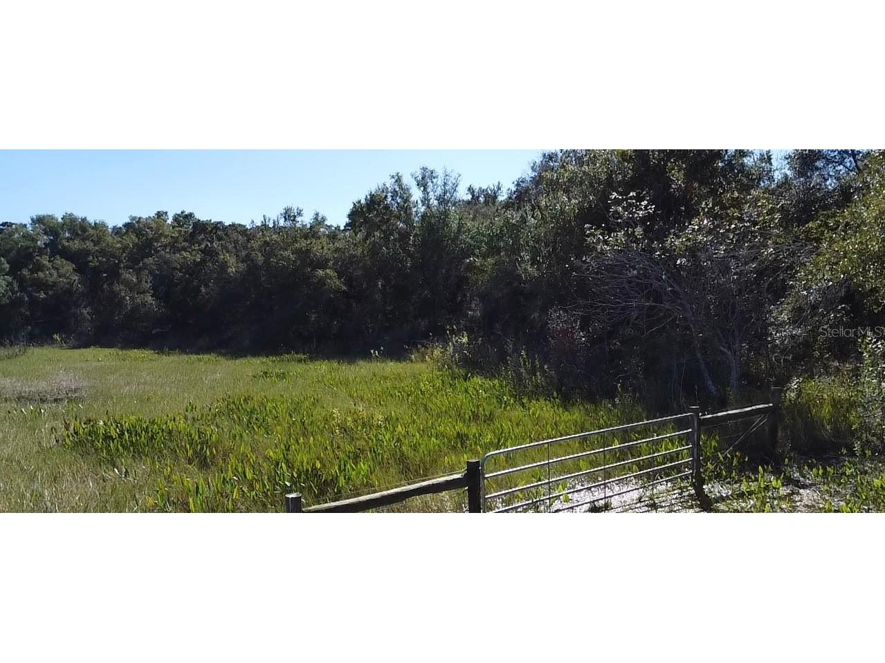 Sw 70th Ter Bushnell FL 33513 TB8475539 image13