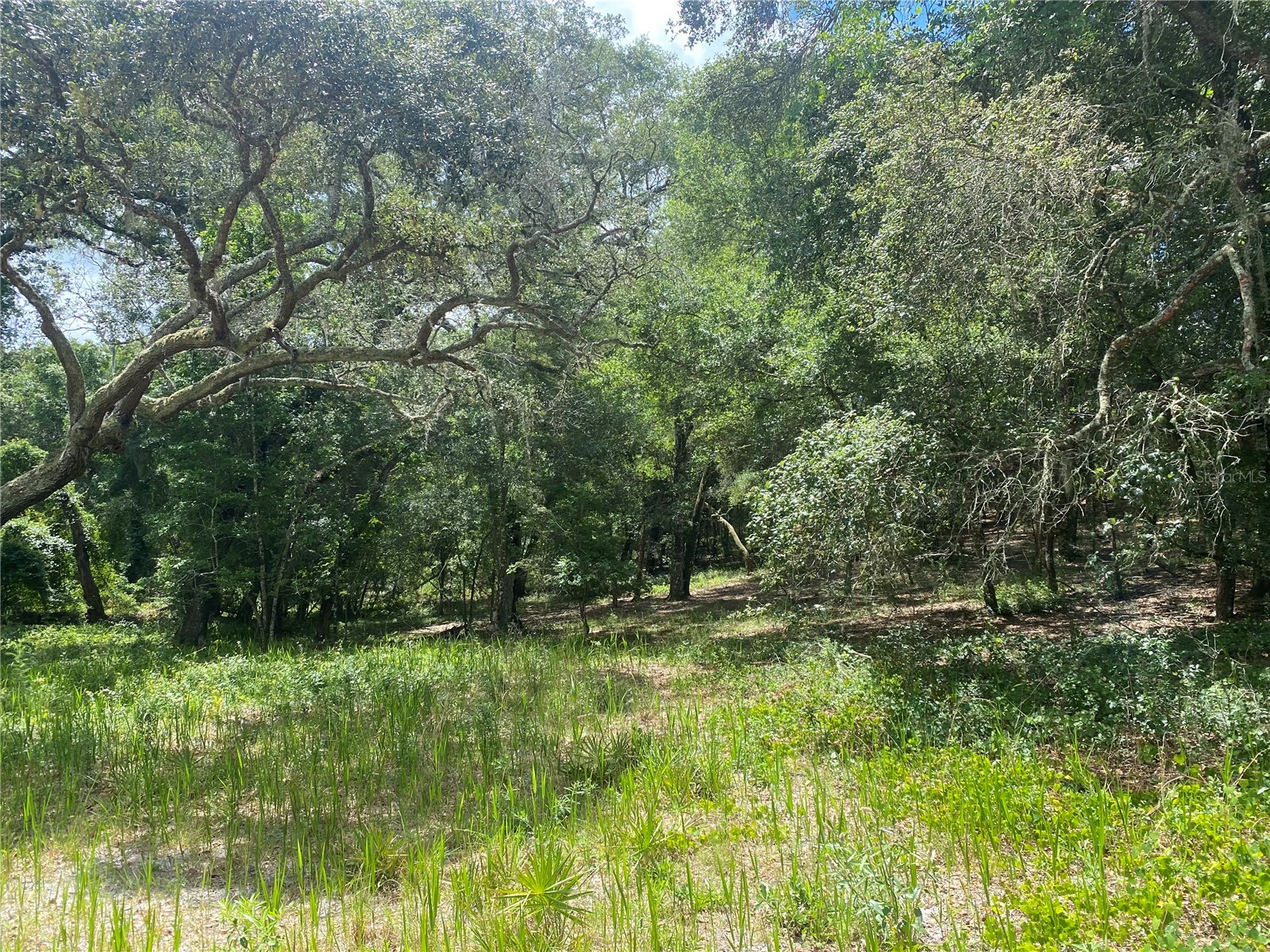 Sw 70th Ter Bushnell FL 33513 TB8475539 image15