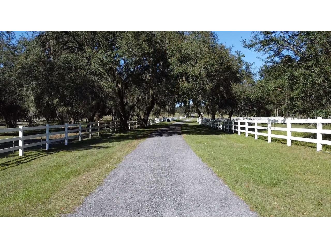 Sw 70th Ter Bushnell FL 33513 TB8475539 image5