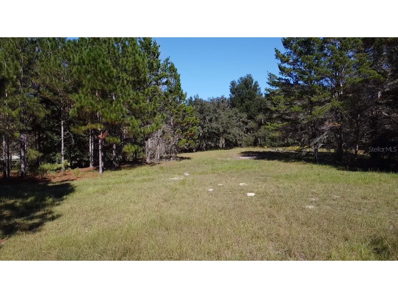 Sw 70th Ter Bushnell FL 33513 TB8475539 image8