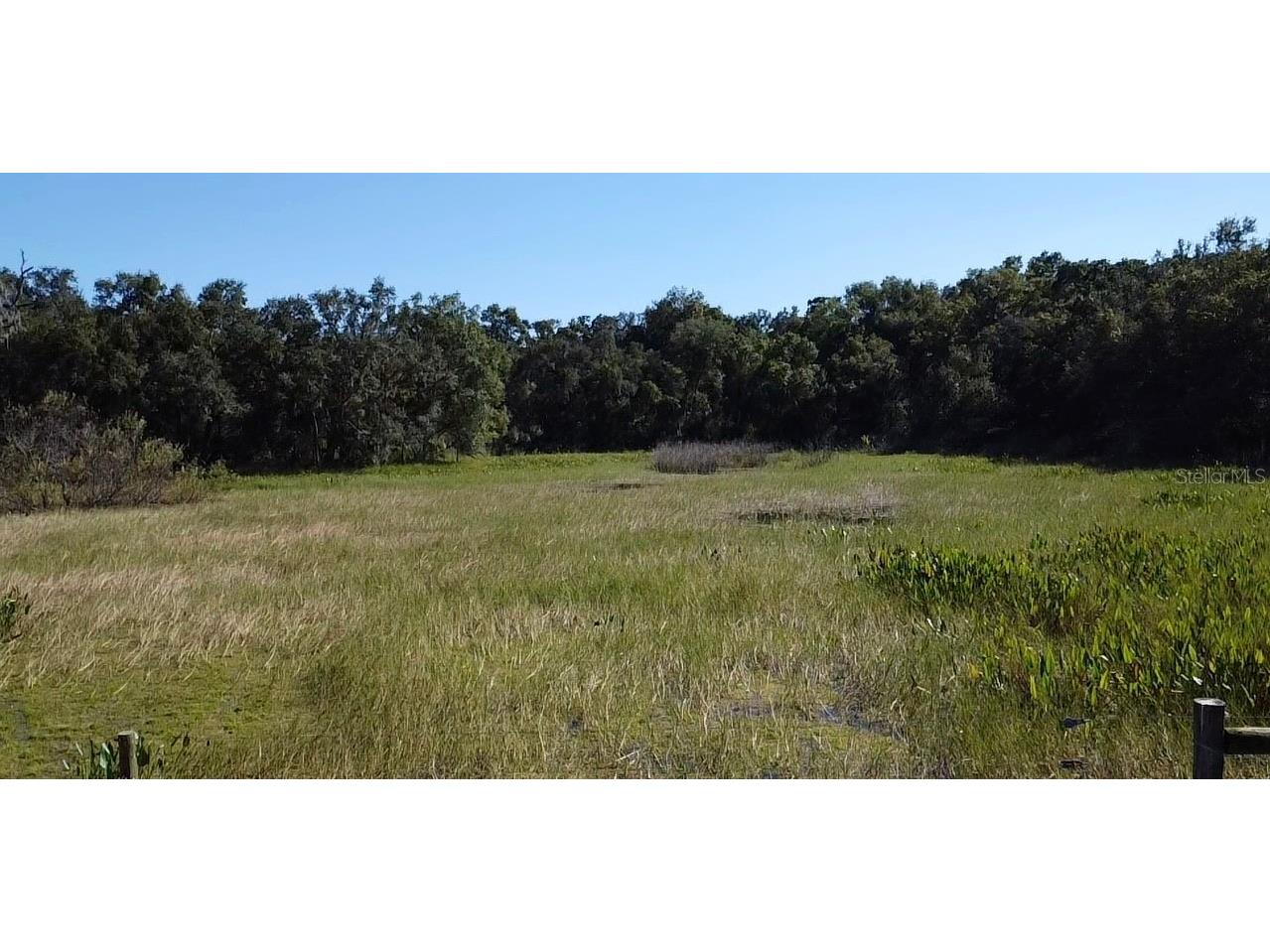 Sw 70th Ter Bushnell FL 33513 TB8475539 image9