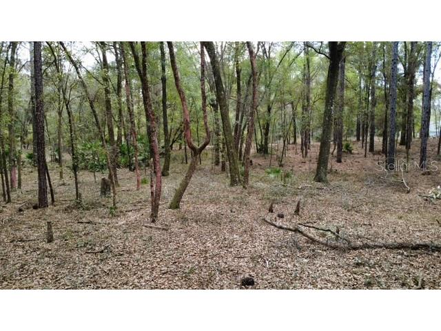 Sw 73 Loop Dunnellon FL 34432 - RAINBOW RIVER G5108693 image10