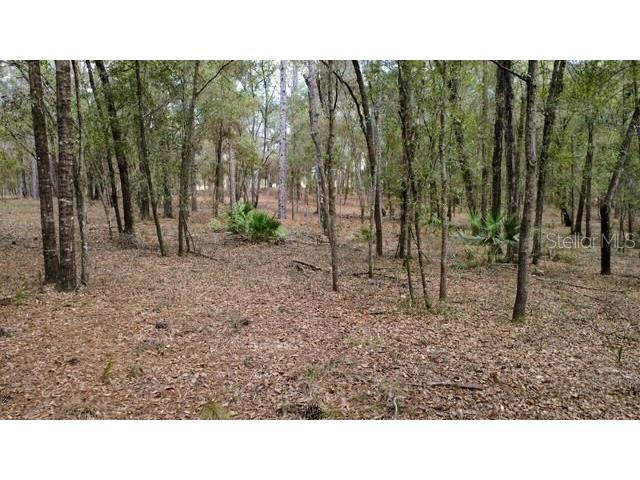 Sw 73 Loop Dunnellon FL 34432 - RAINBOW RIVER G5108693 image11