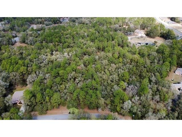 Sw 73 Loop Dunnellon FL 34432 - RAINBOW RIVER G5108693 image13