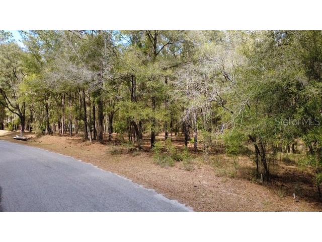 Sw 73 Loop Dunnellon FL 34432 - RAINBOW RIVER G5108693 image4