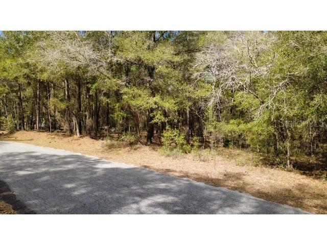 Sw 73 Loop Dunnellon FL 34432 - RAINBOW RIVER G5108693 image5