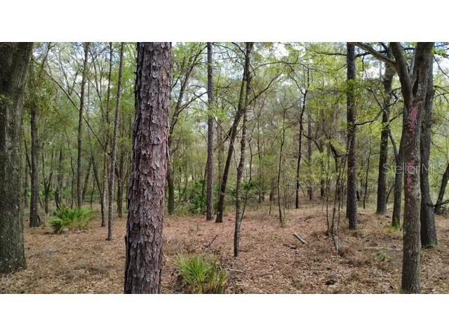 Sw 73 Loop Dunnellon FL 34432 - RAINBOW RIVER G5108693 image9