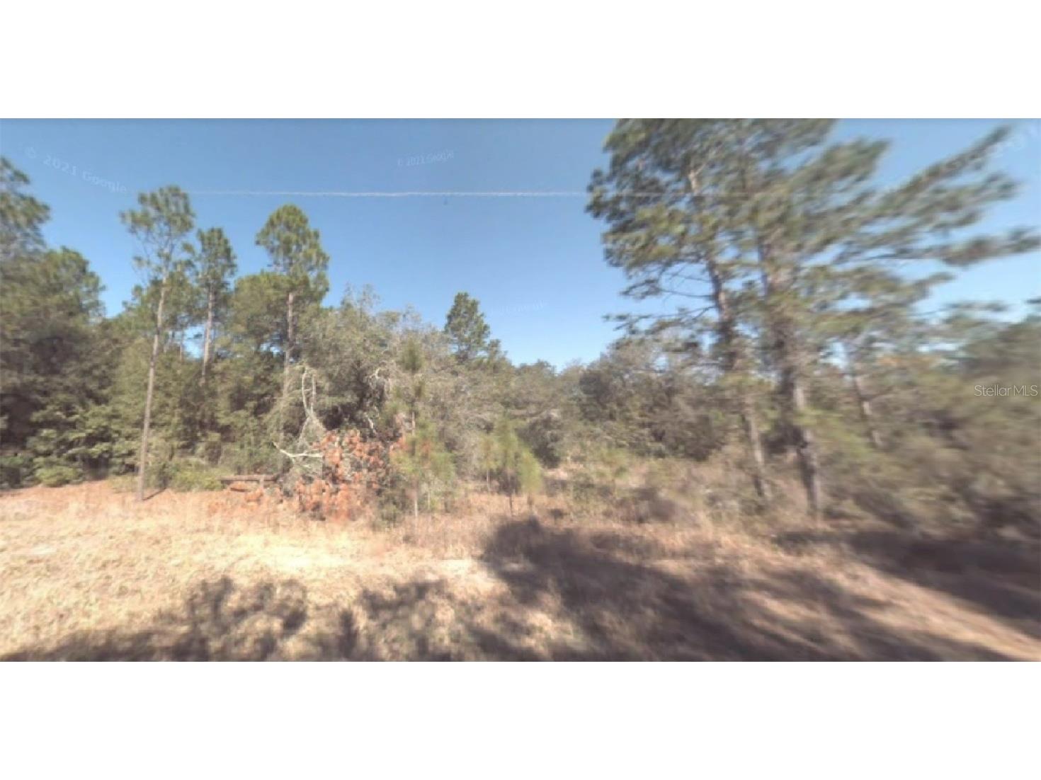 SW 73rd Lane Dunnellon FL 34432 O6104212 image1