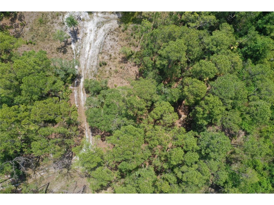 Sw 75th St Cedar Key FL 32625 TB8418344 image1