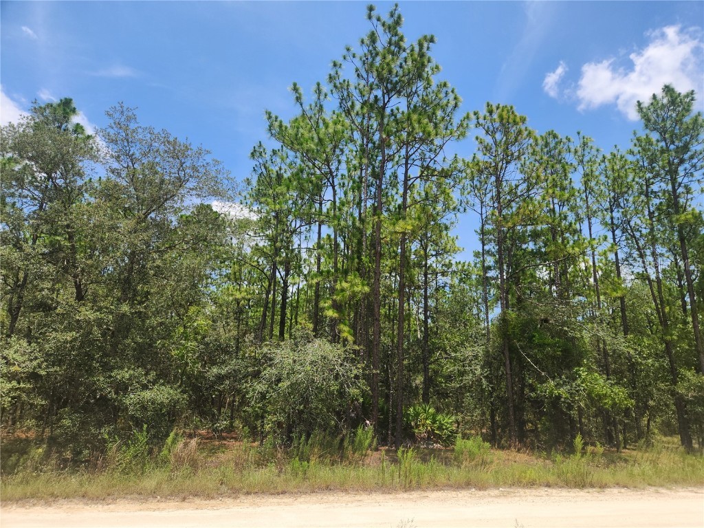 SW 76 Lane Dunnellon FL 34432 OM705488 image1