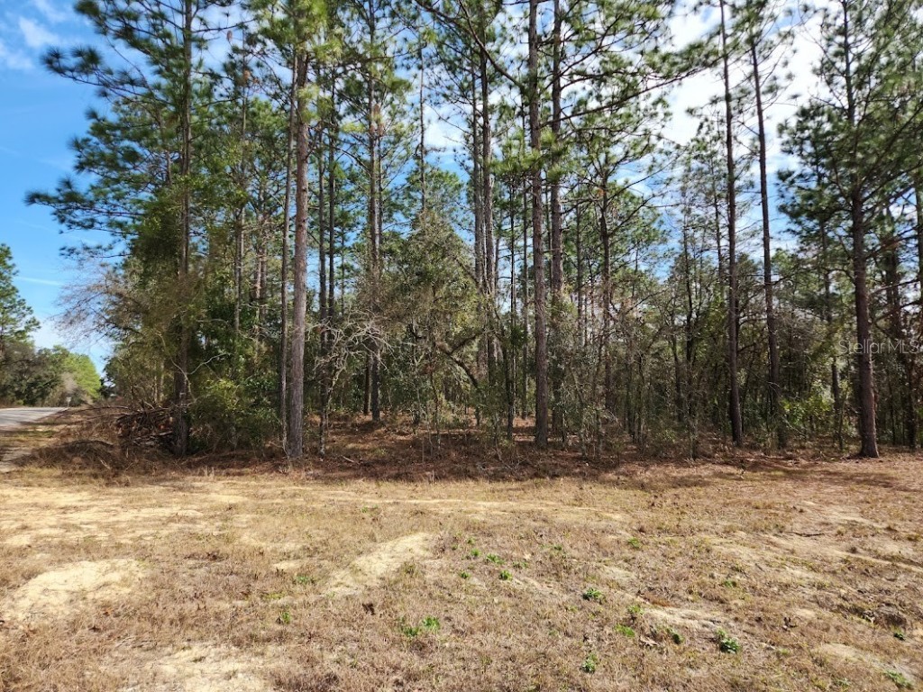 SW 76 Th Lane Dunnellon FL 34432 OM693328 image1