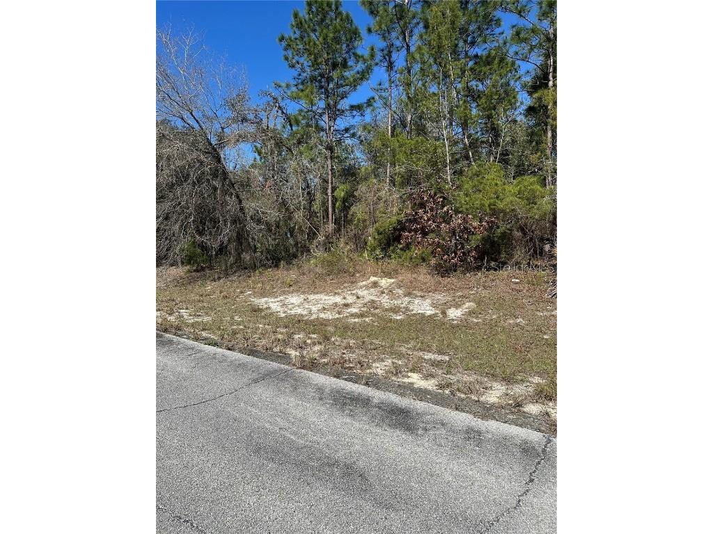 SW 77 Th Terrace Ocala FL 34473 OM696357 image1