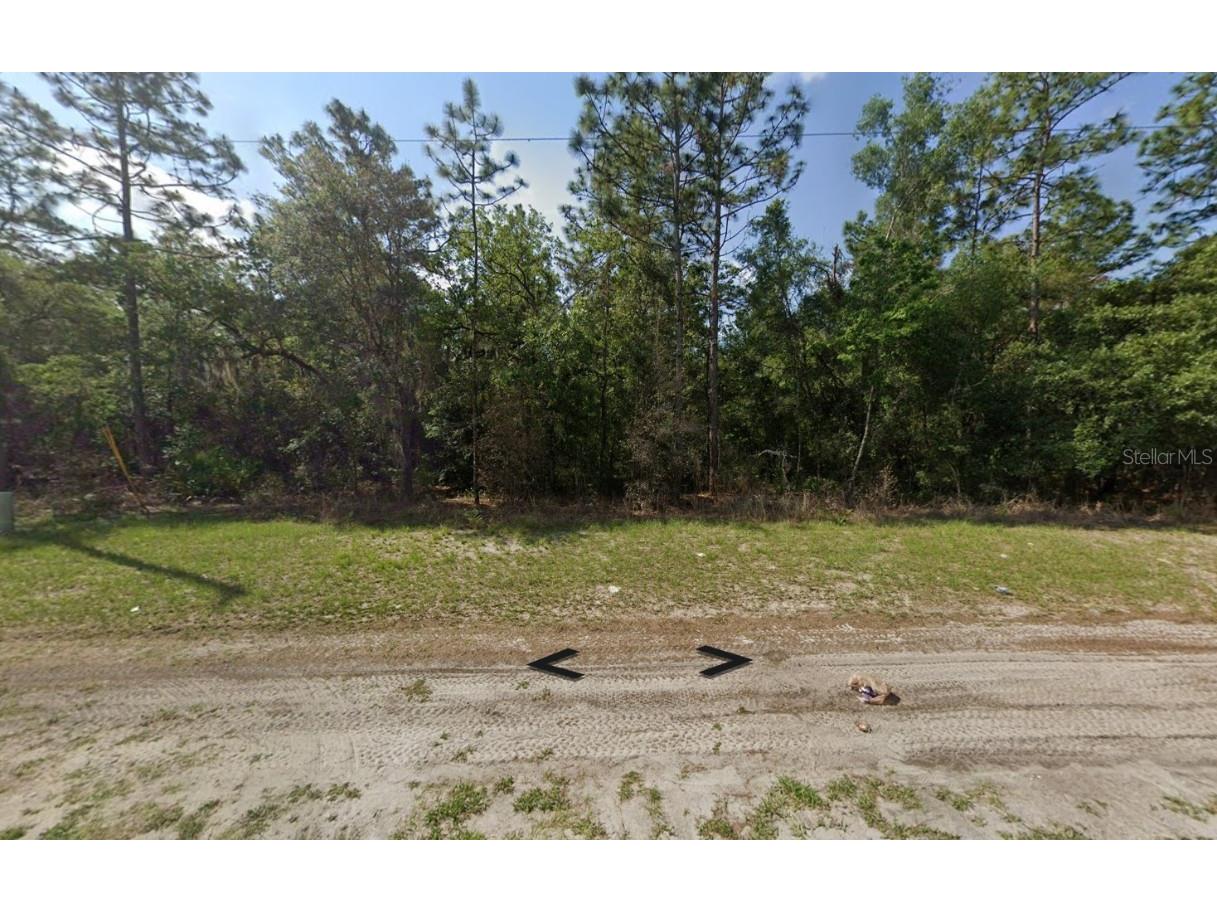 SW 77th Ave Road Ocala FL 34481 S5134045 image1
