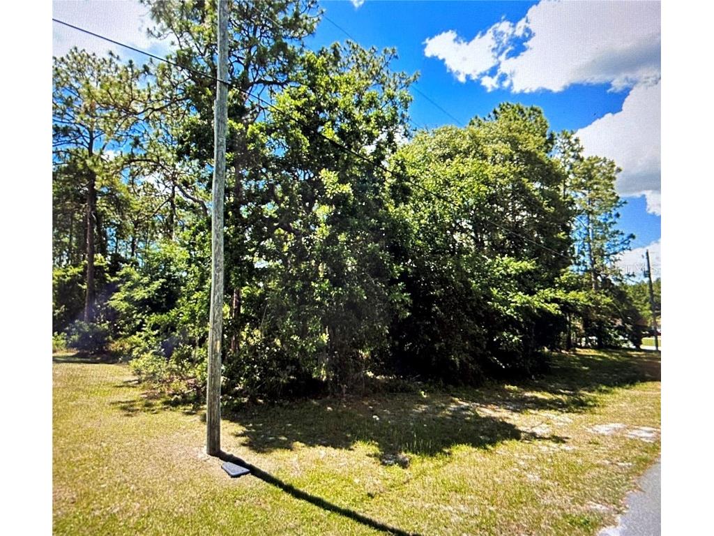 SW 77th Circle Ocala FL 34473 O6299930 image1