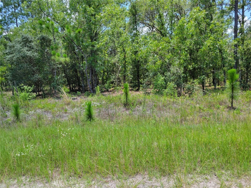 SW 78 Place Dunnellon FL 34432 OM660175 image1