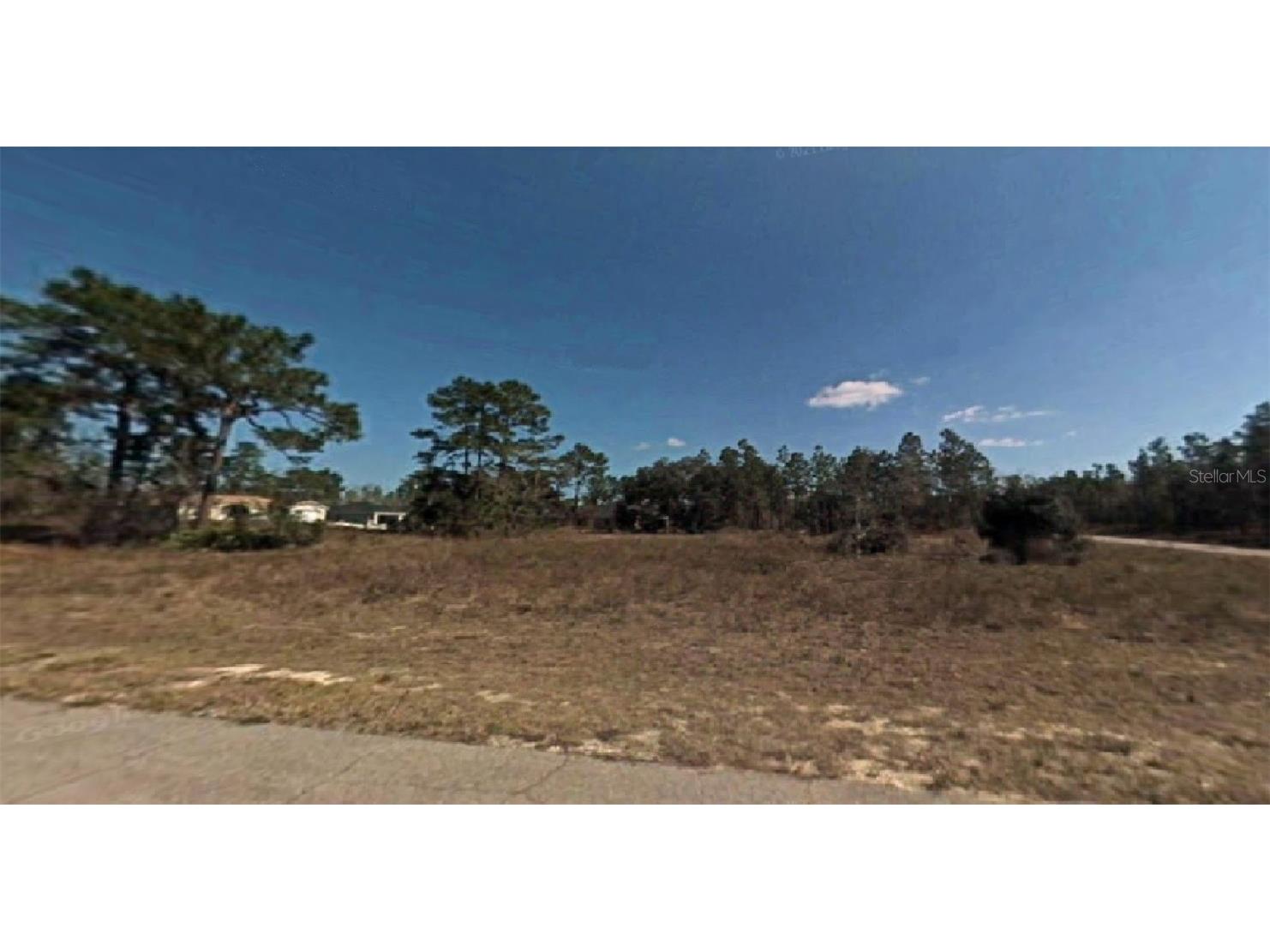 SW 78th Circle Ocala FL 34473 O6058764 image1