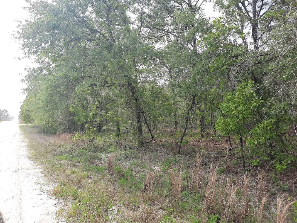 SW 78th Pl Dunnellon FL 34432 OM676475 image1