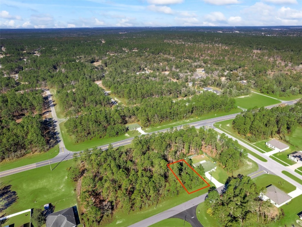 SW 79th Circle Ocala FL 34473 OM653004 image1