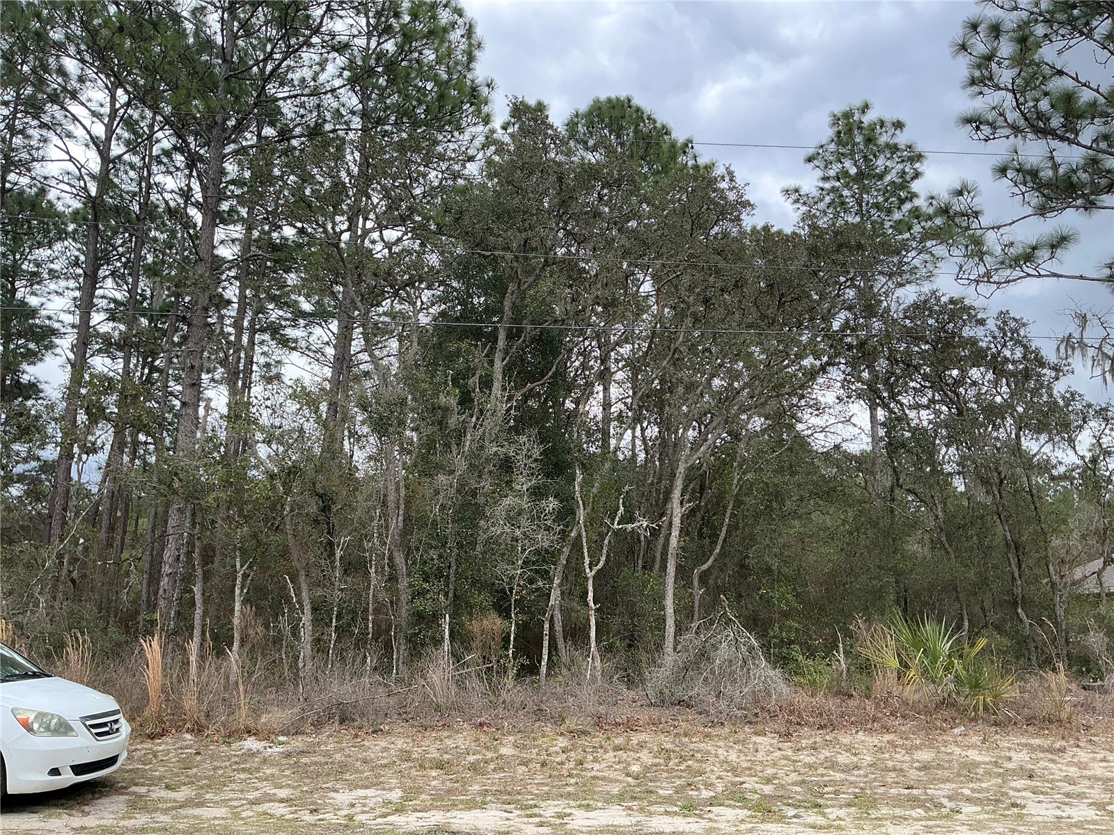SW 79th Terrace Ocala FL 34473 OM721680 image1
