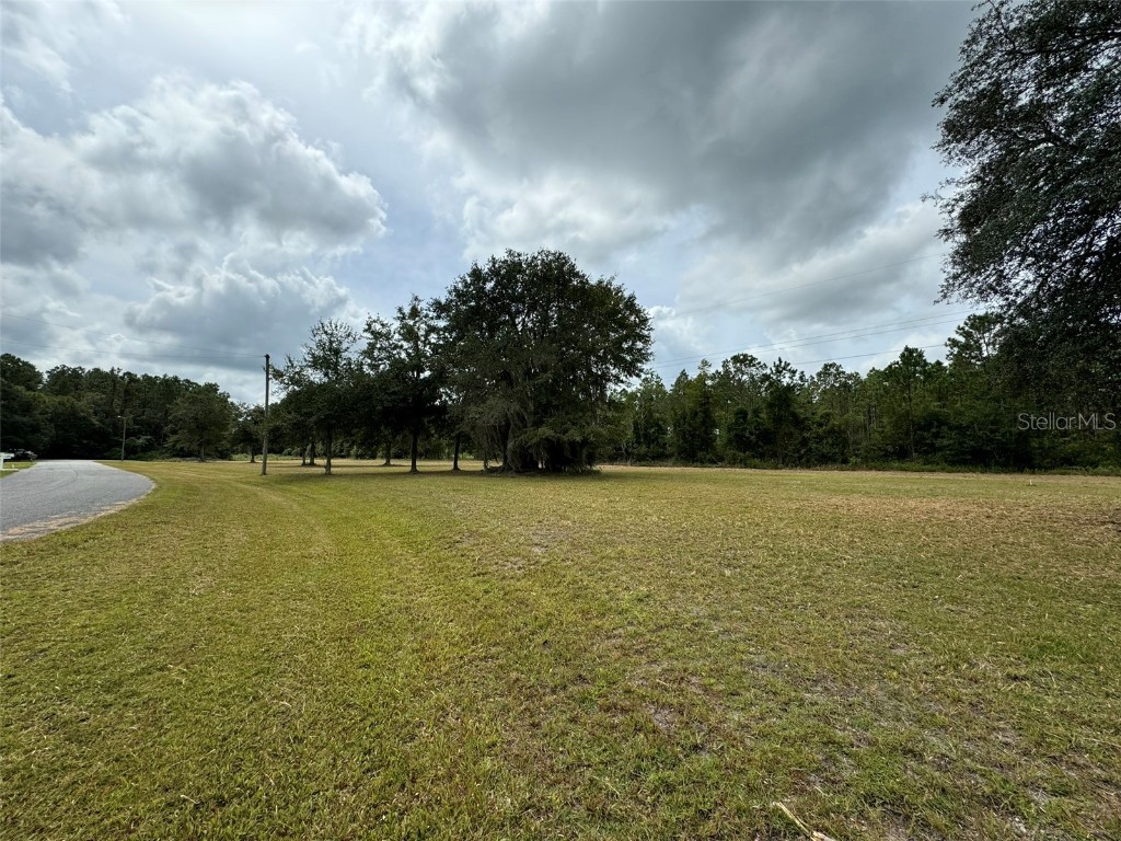 SW 80th Place Hampton FL 32044 - LAKE HAMPTON R4908353 image1
