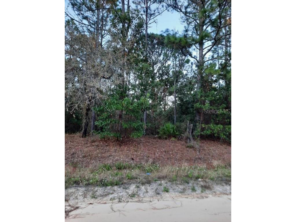 SW 80th Street Dunnellon FL 34432 OM630825 image1