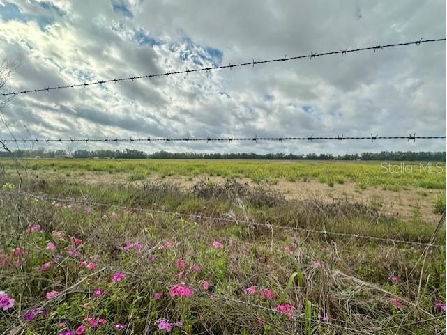 SW 80th Street Trenton FL 32693 GC538594 image1