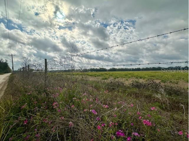 SW 80th Street Trenton FL 32693 GC538594 image2