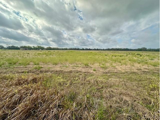SW 80th Street Trenton FL 32693 GC538594 image4