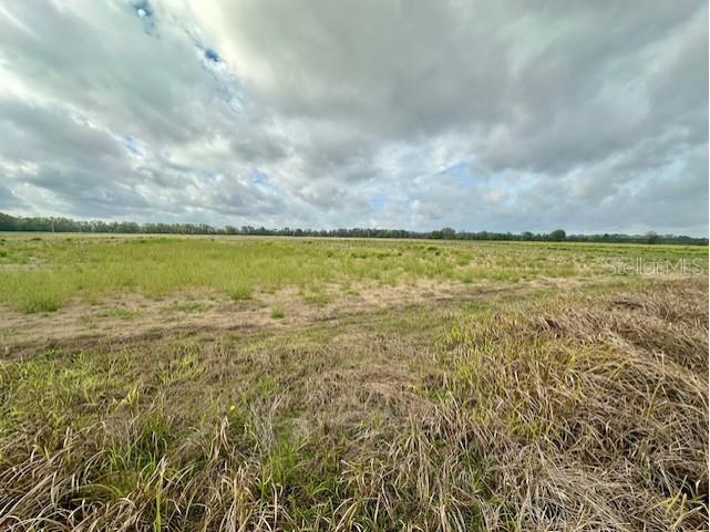 SW 80th Street Trenton FL 32693 GC538594 image5