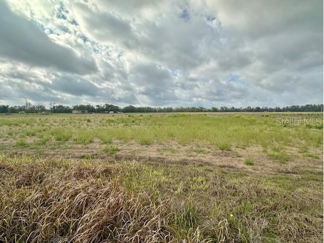 SW 80th Street Trenton FL 32693 GC538594 image6