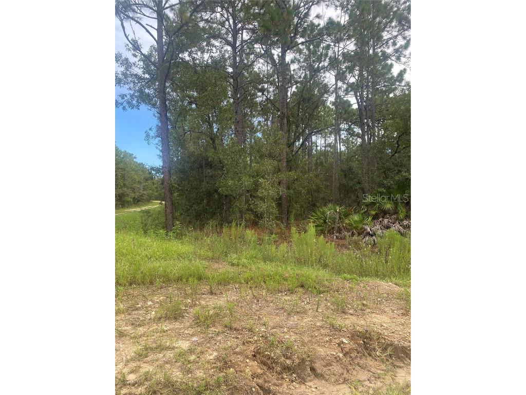 SW 81 Street Dunnellon FL 34432 GC516102 image1