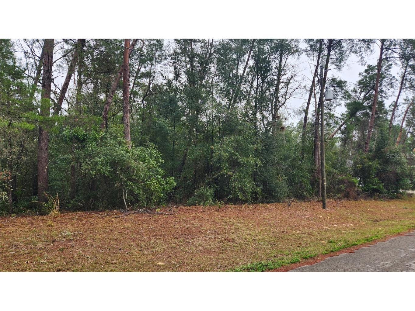 SW 82nd Ave Road Ocala FL 34473 O6164223 image1