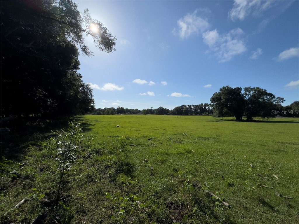 SW 82nd Court Ocala FL 34481 OM684870 image6