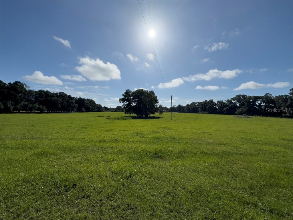 SW 82nd Court Ocala FL 34481 OM684870 image8