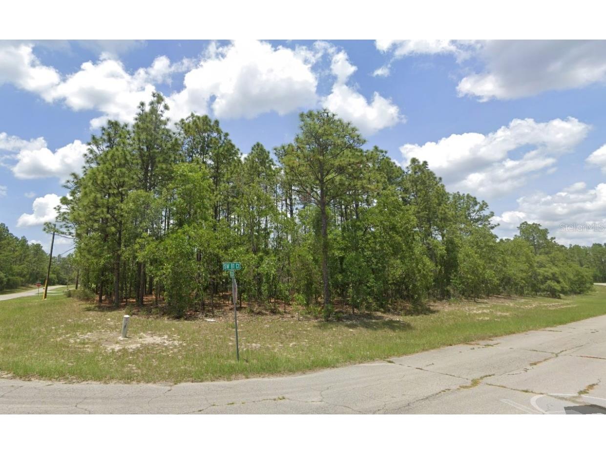 SW 82nd Ct Rd Ocala FL 34473 O6338668 image1