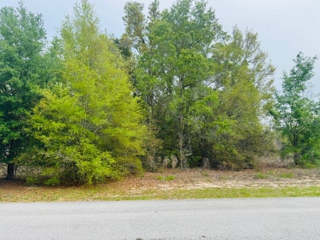 SW 83rd Street Dunnellon FL 34431 OM721493 image1