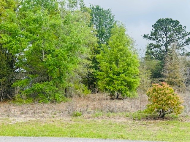 SW 83rd Street Dunnellon FL 34431 OM721493 image2